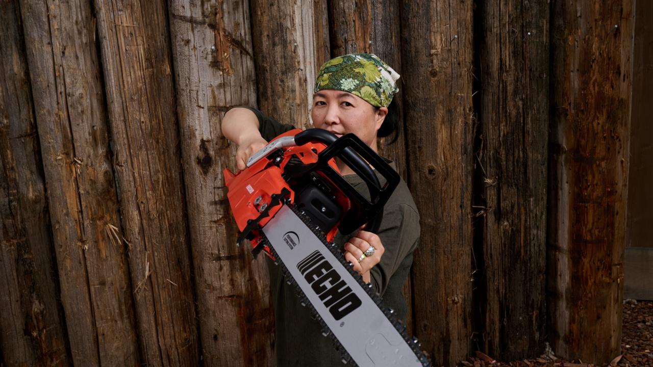 Echo little deals champ chainsaw